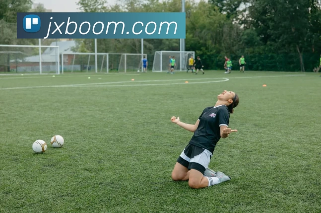 金星娱乐官网发展历程