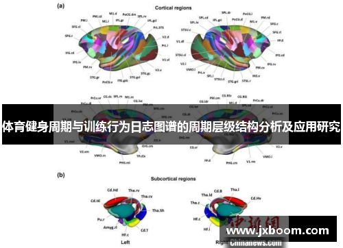 体育健身周期与训练行为日志图谱的周期层级结构分析及应用研究