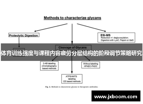 体育训练强度与课程内容疲劳分层结构的阶段调节策略研究